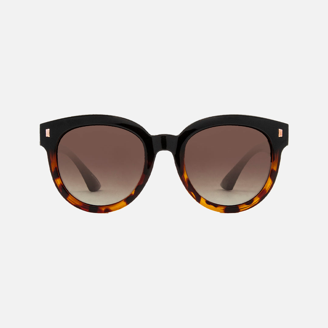 Harpo - Gloss Black Tort Brown Gradient - Polarized
