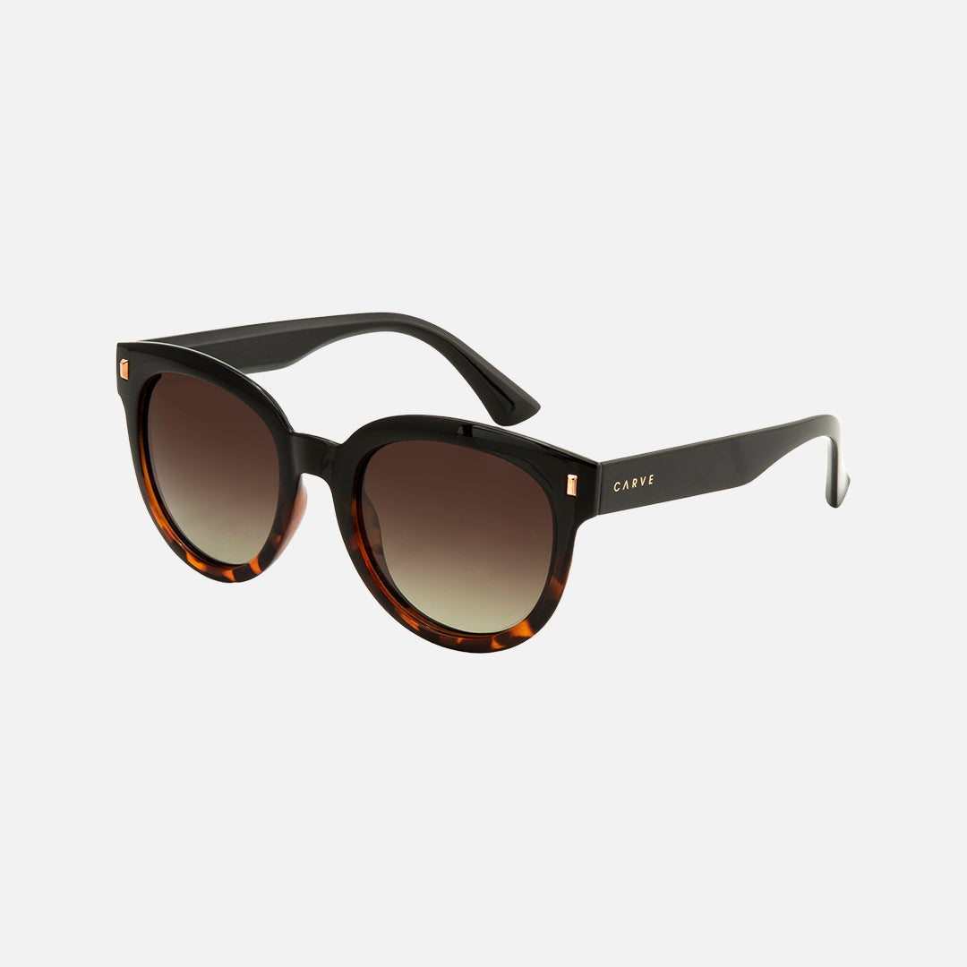 Harpo - Gloss Black Tort Brown Gradient - Polarized