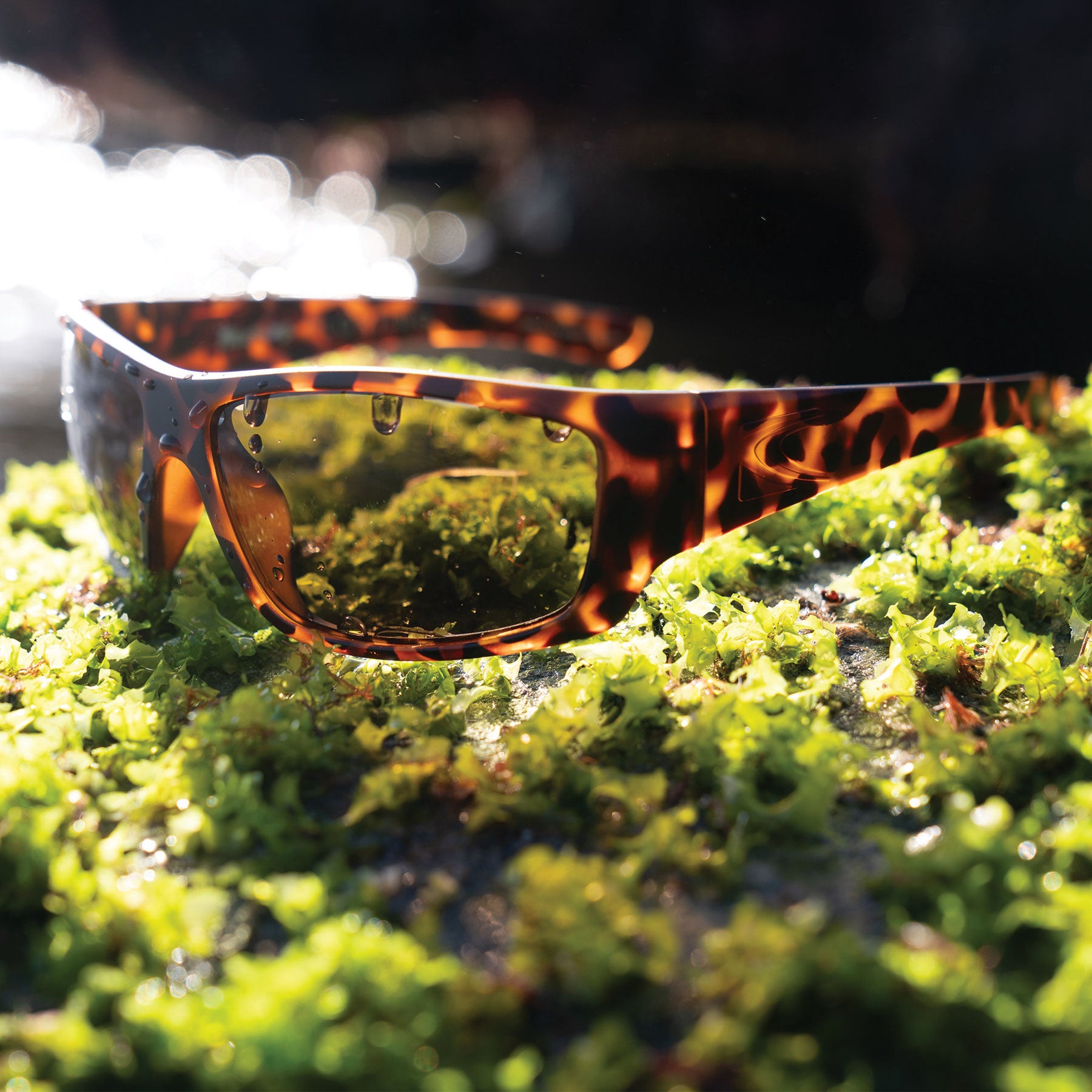 Moray - Floating Matt Tort Frame with Grey Injected Polarized Hydrophobic Lens