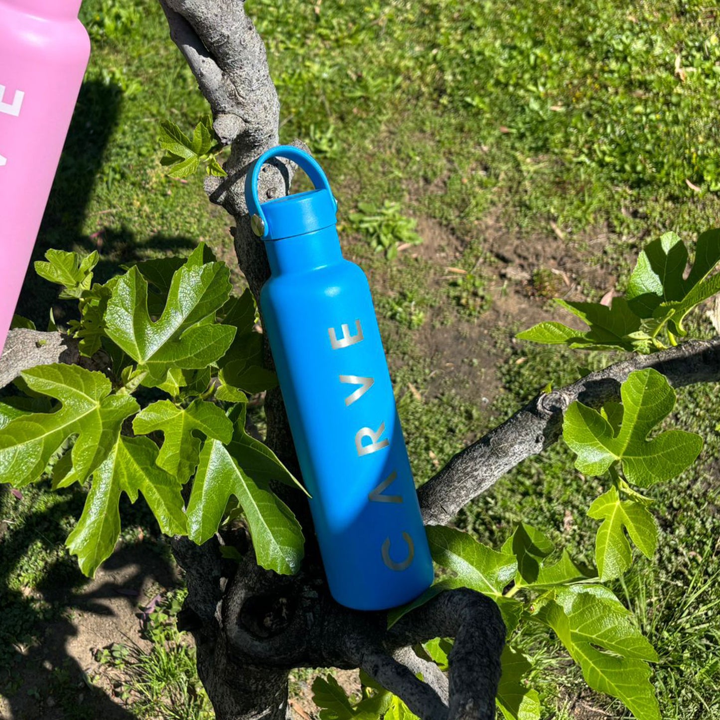 Cobalt - Insulated 750ml Bottle