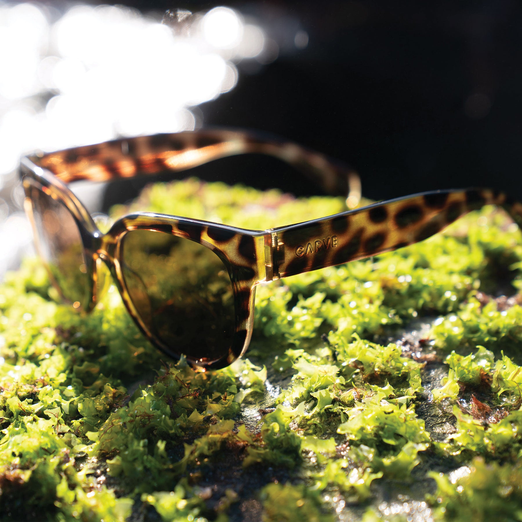 Vivian - Floating Gloss Tort Floatable Frame with Brown Injected Polarized Lens