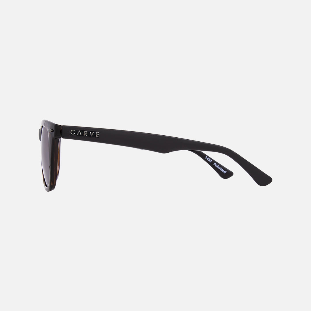 Wow Vision Polarized Gloss Tort Frame Sunglasses