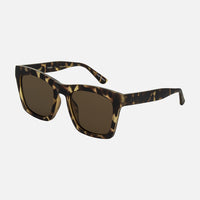 Easton - Matt Translucent Tort Frame with Brown Polarized Lens