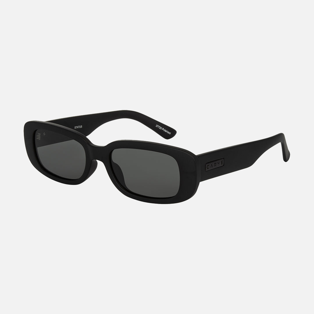 Status - Matt Black Frame with Grey Polarized Lens