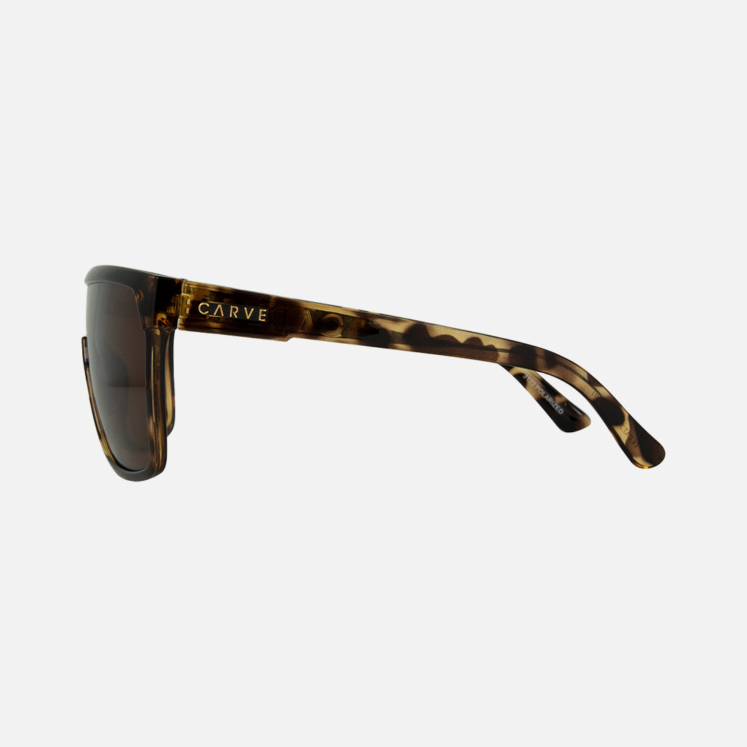 La Ropa - Gloss yellow tort Brown Polarized lens