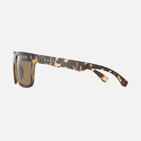 Phenomenon - Matt Translucent Tort Frame Brown Lens