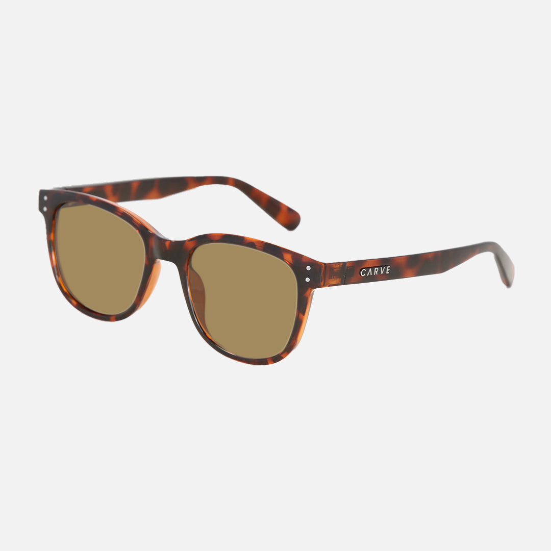 Homeland - Gloss Tort Frame Brown Polarized Lens
