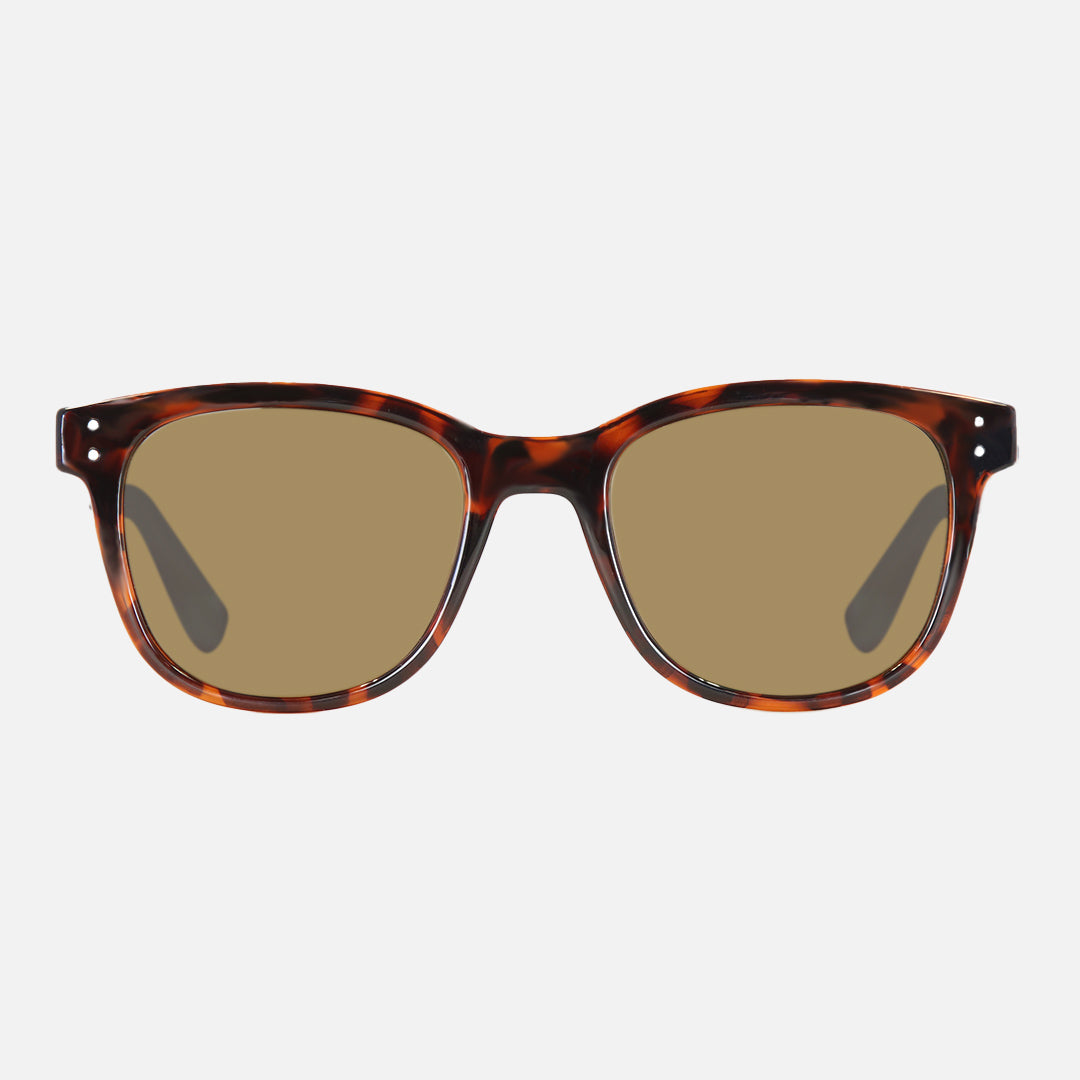 Homeland - Gloss Tort Frame Brown Polarized Lens