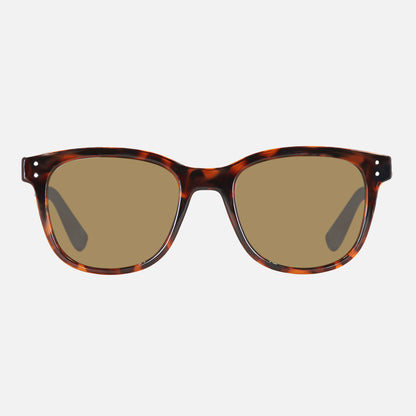 Homeland - Gloss Tort Frame Brown Polarized Lens