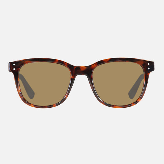 Homeland - Gloss Tort Frame Brown Polarized Lens