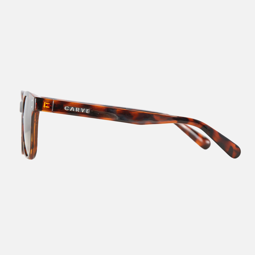 Homeland - Gloss Tort Frame Brown Polarized Lens