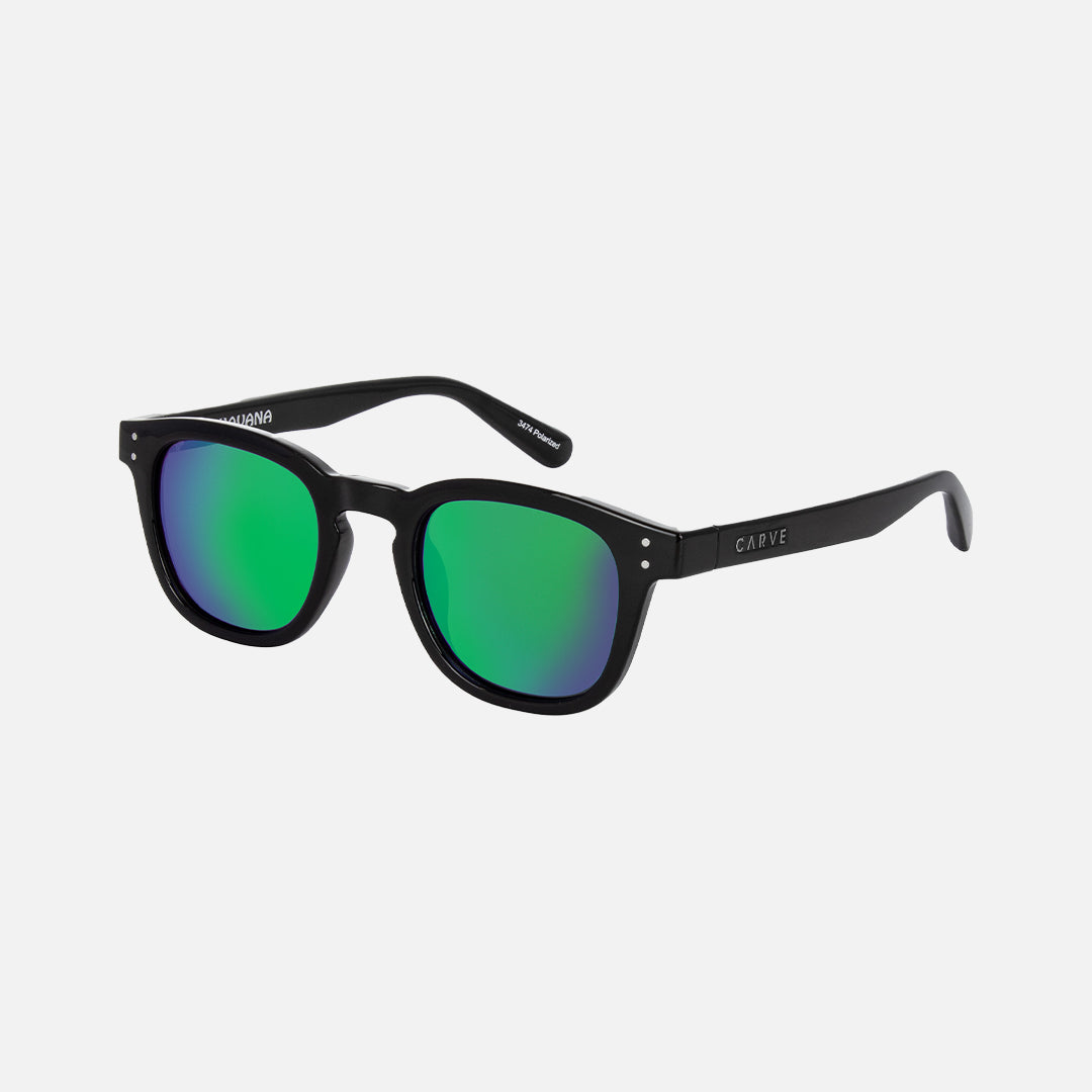 Havana - Gloss Black Frame with Green Iridium Lens