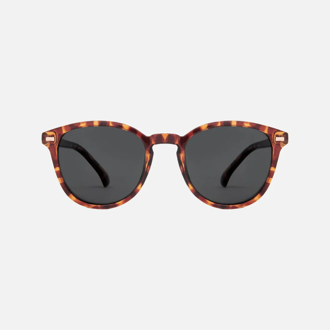 Oslo - Gloss Tort Grey Polarized Lens