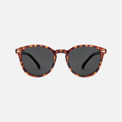 Oslo - Gloss Tort Grey Polarized Lens