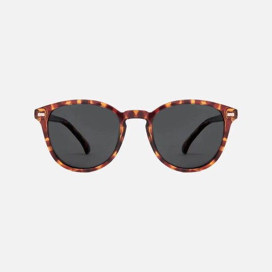 Oslo - Gloss Tort Grey Polarized Lens