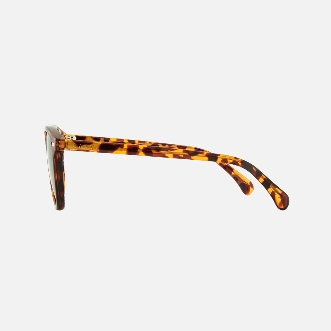 Oslo - Gloss Tort Grey Polarized Lens