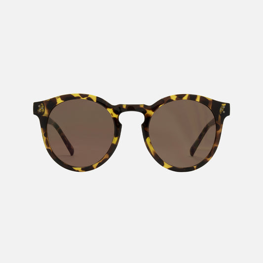 Fletcher - Gloss Tort Brown Lens