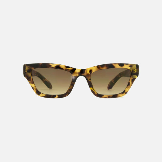 Valencia - Gloss Tort Brown Gradient Lens