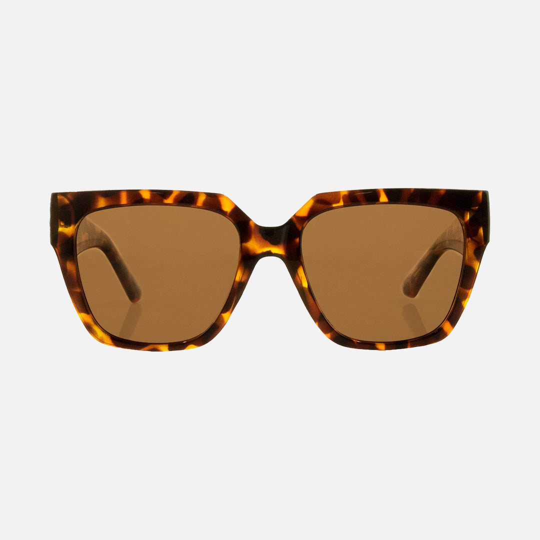 Brooklyn - Gloss Tort Brown Polarized Lens