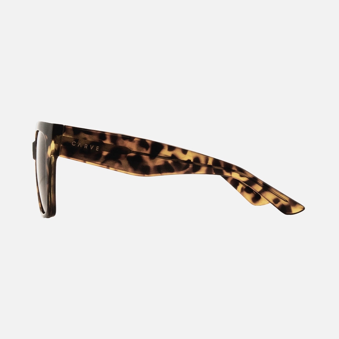 Brooklyn - Gloss Tort Frame Brown Lens