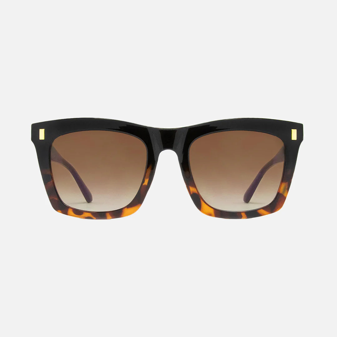 Kirby - Black Tort to Brown Gradient Lens