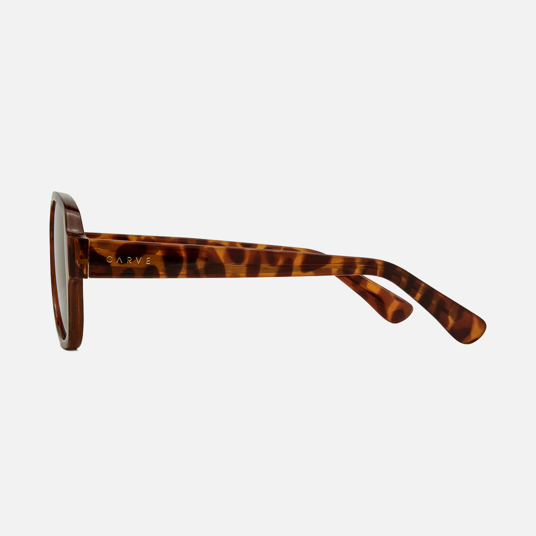 Zion - Honey Tort Frame with Brown Lens