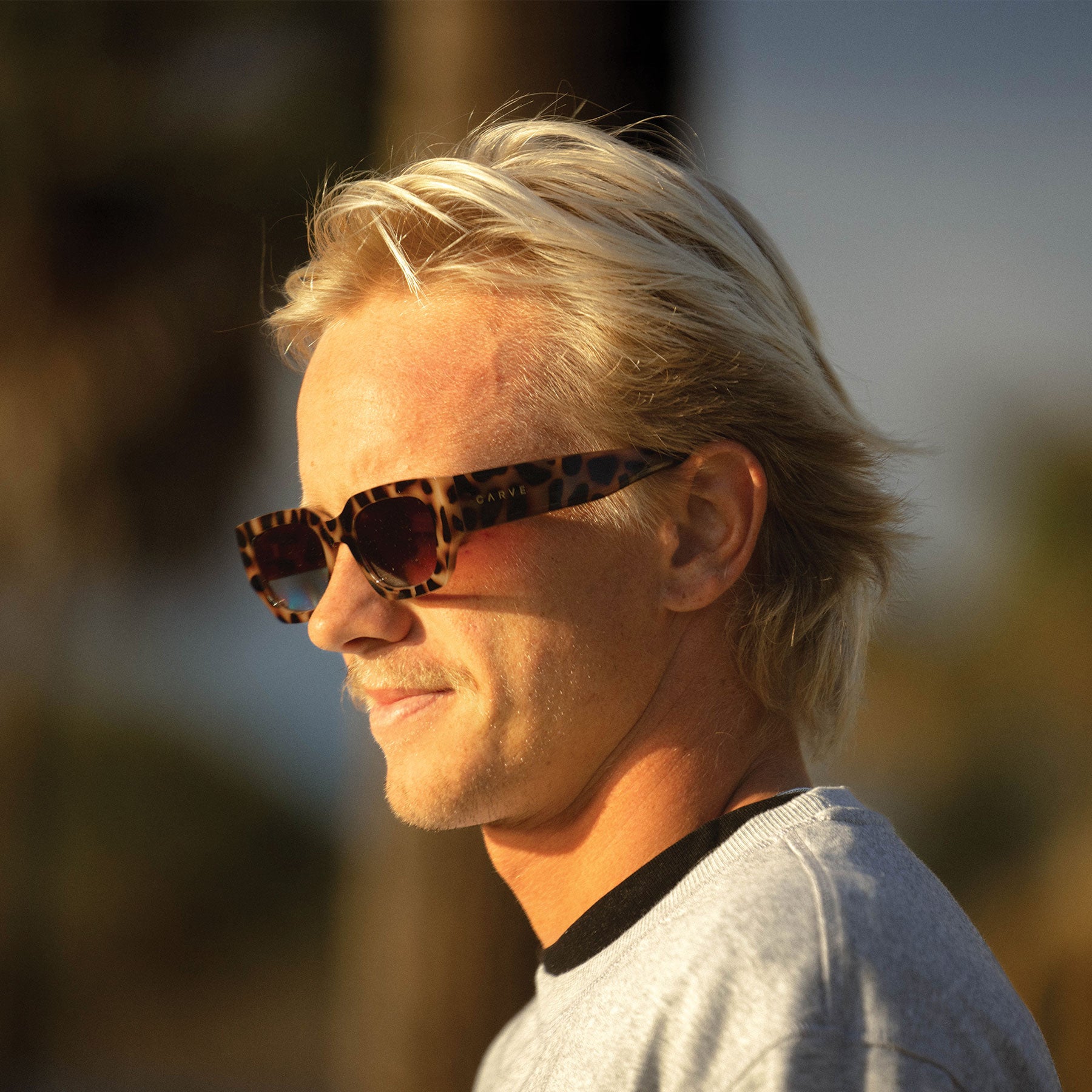 Vinca - Gloss Creamy Tort Frame Gradient Brown Lens