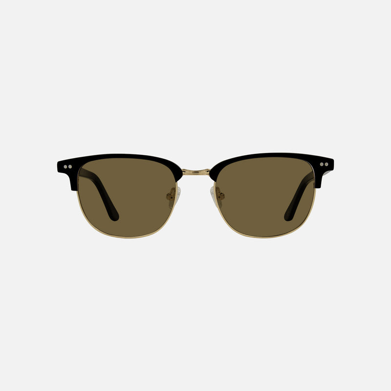 eyewear_Sunglasses~Brown Polarized
