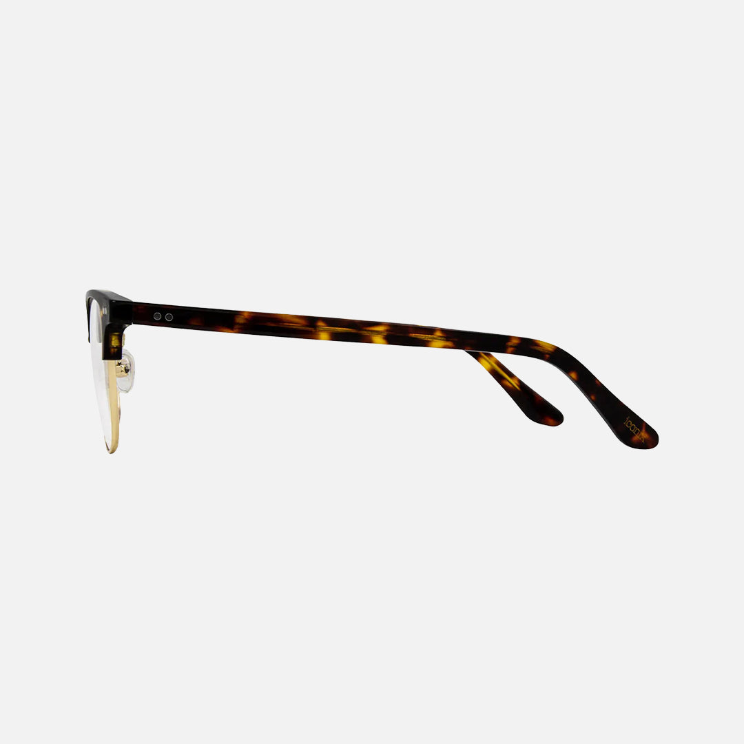 CAMBRIDGE - Olive/Gold  Acetate -50-18-145