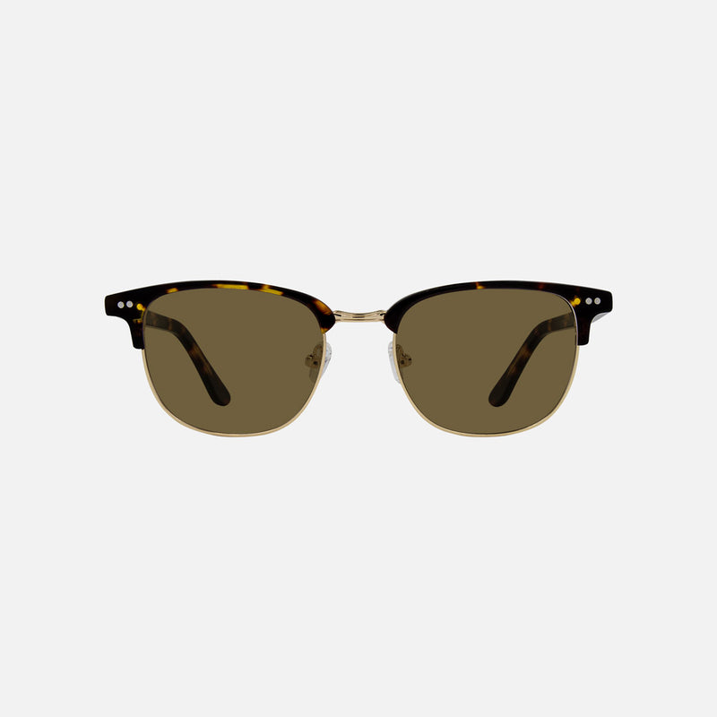 eyewear_Sunglasses~Brown Polarized