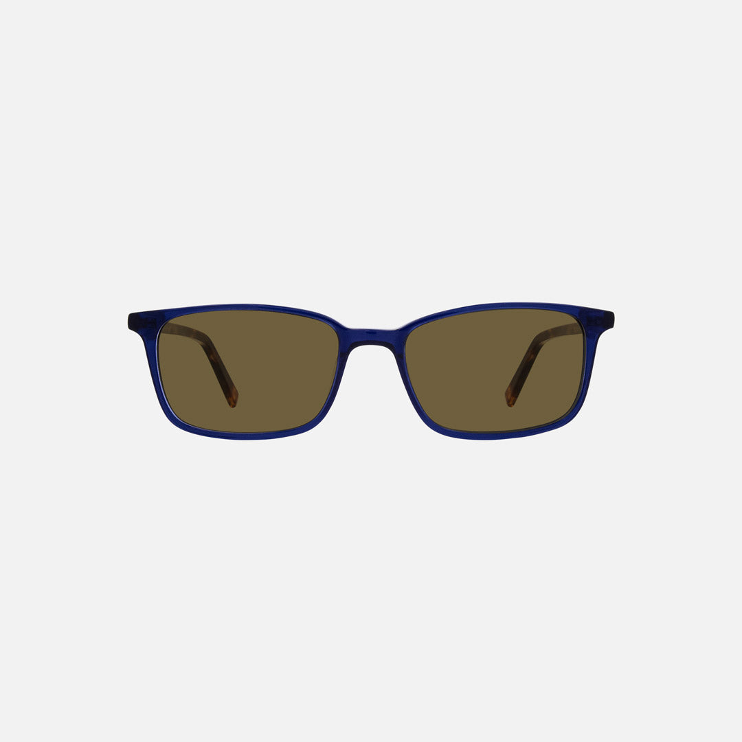 eyewear_Sunglasses~Brown Polarized
