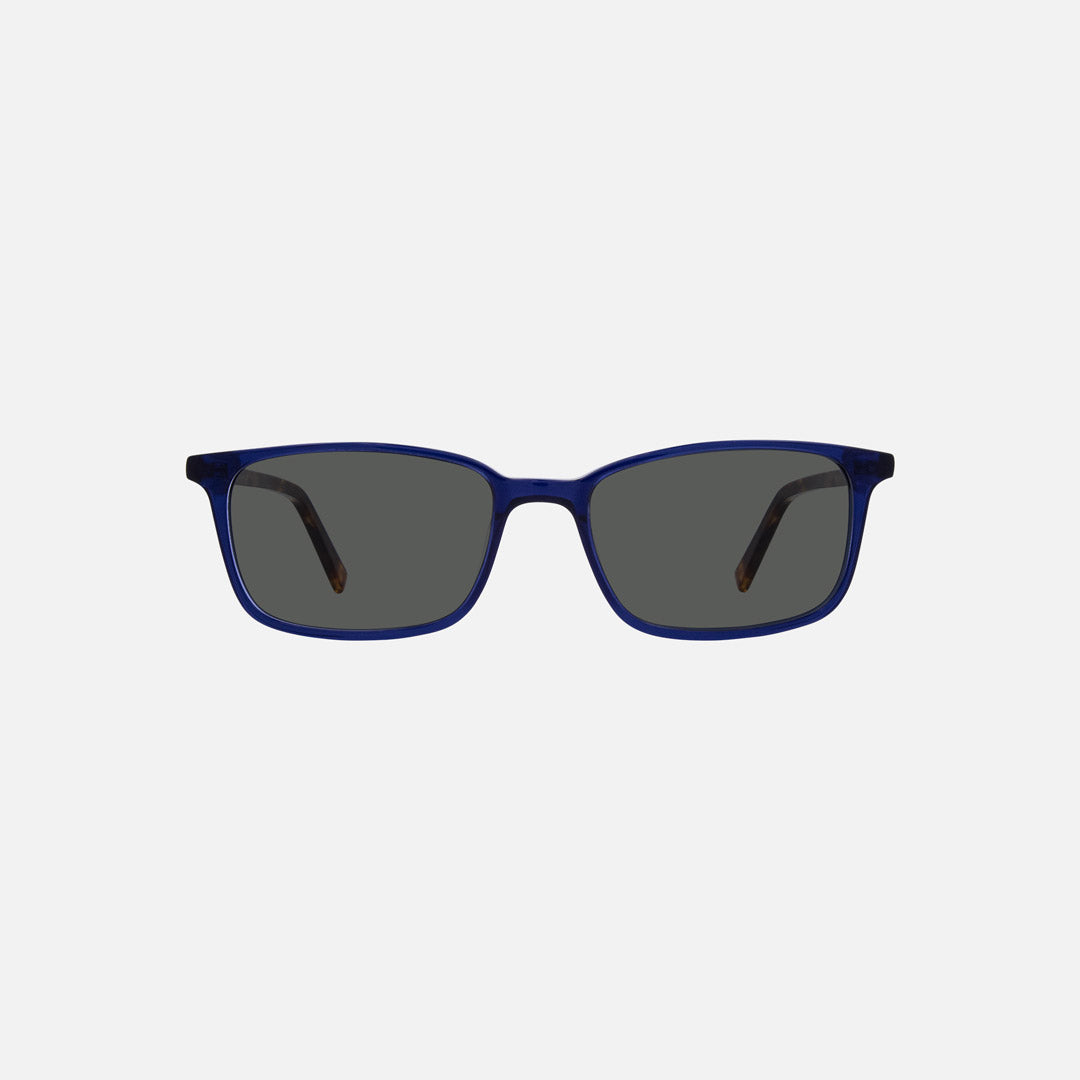 eyewear_Sunglasses~Grey Polarized