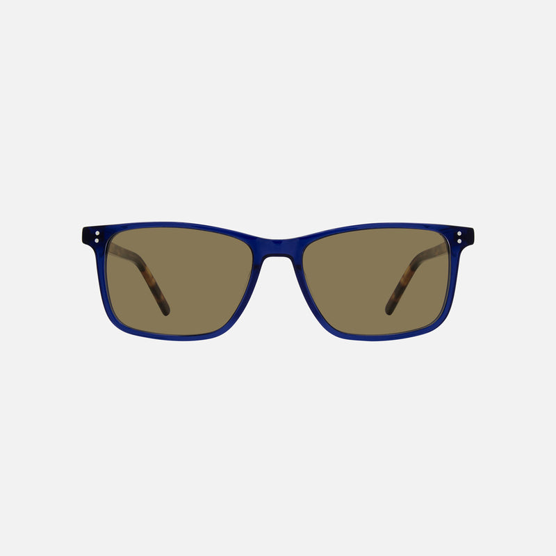 eyewear_Sunglasses~Brown