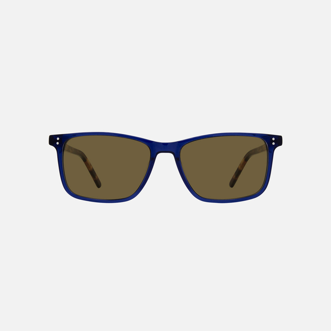 eyewear_Sunglasses~Brown Polarized