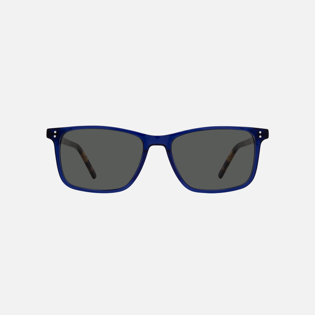 eyewear_Sunglasses~Grey Polarized