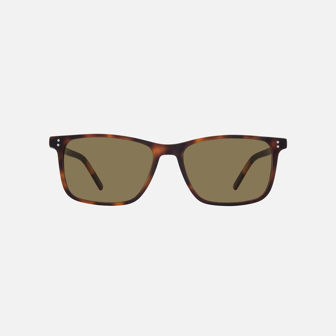 eyewear_Sunglasses~Brown