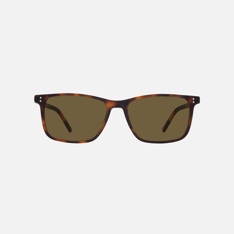 eyewear_Sunglasses~Brown Polarized