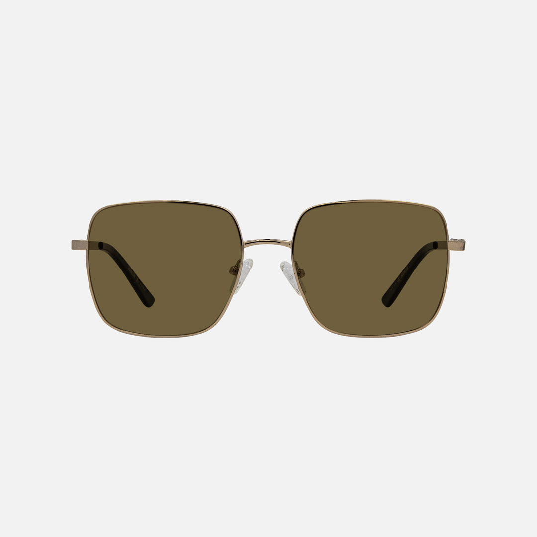 eyewear_Sunglasses~Brown Polarized