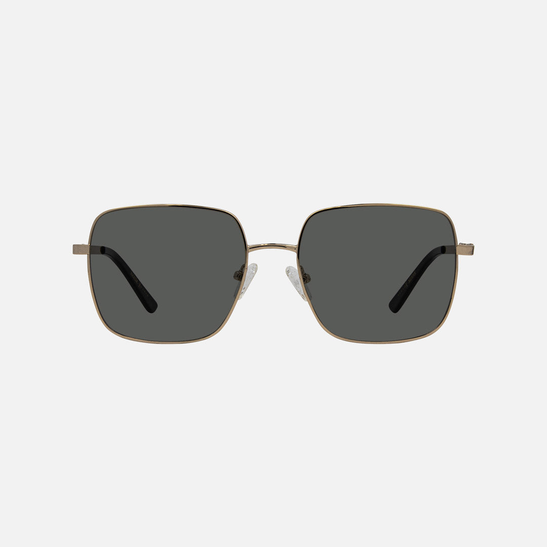eyewear_Sunglasses~Grey Polarized