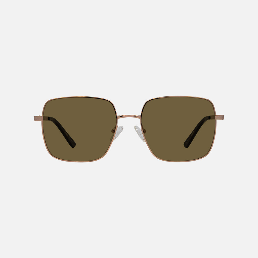 eyewear_Sunglasses~Brown Polarized