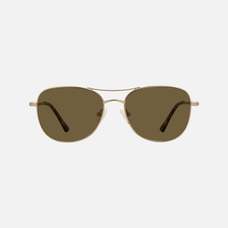 eyewear_Sunglasses~Brown Polarized