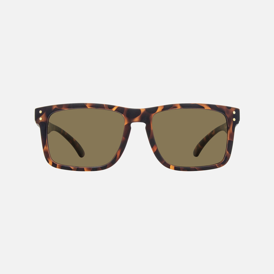 eyewear_Sunglasses~Brown