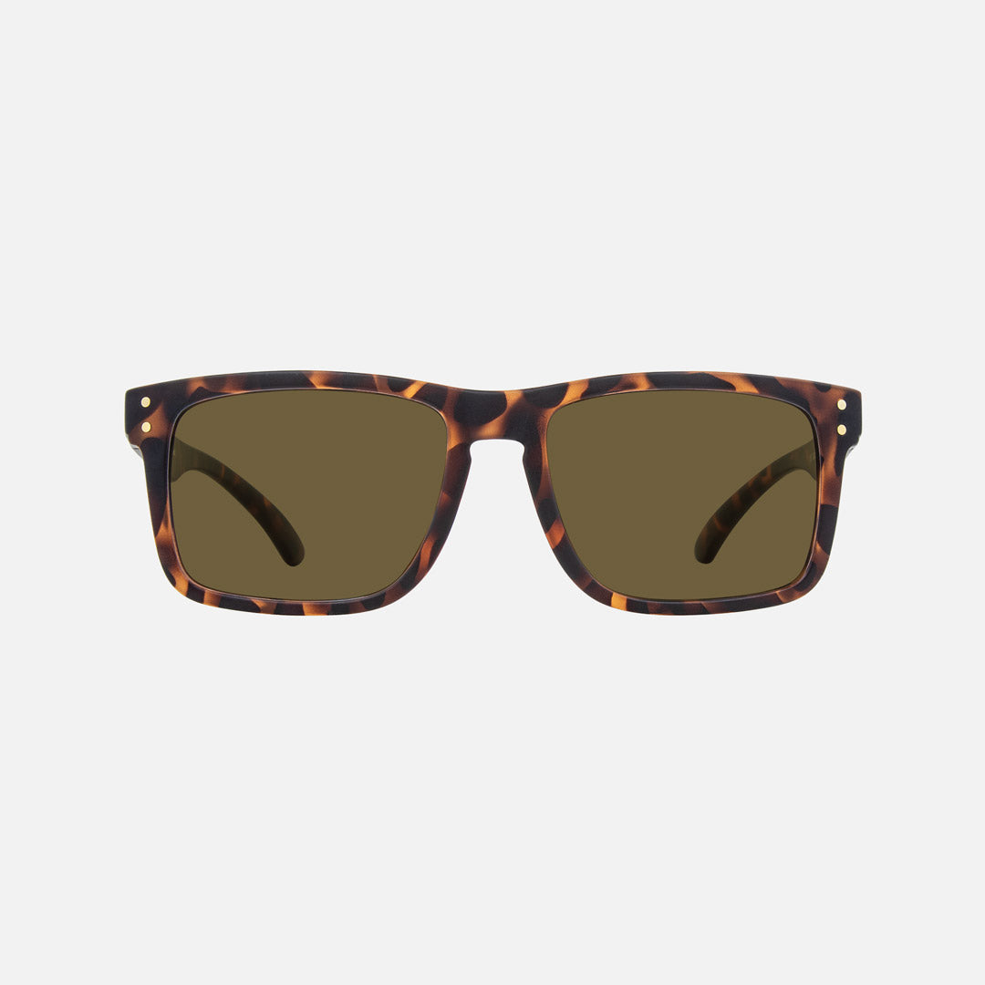 eyewear_Sunglasses~Brown Polarized