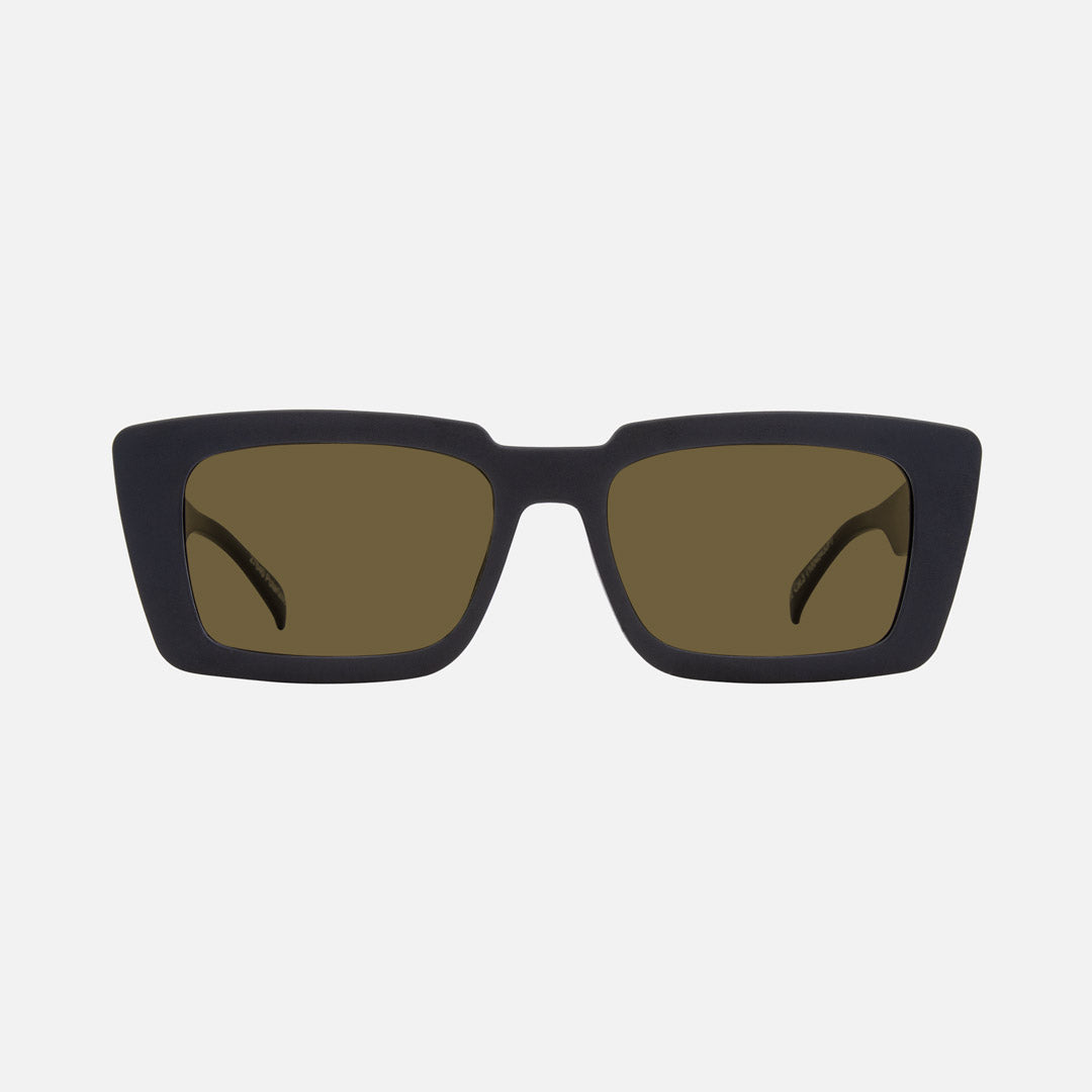 eyewear_Sunglasses~Brown Polarized