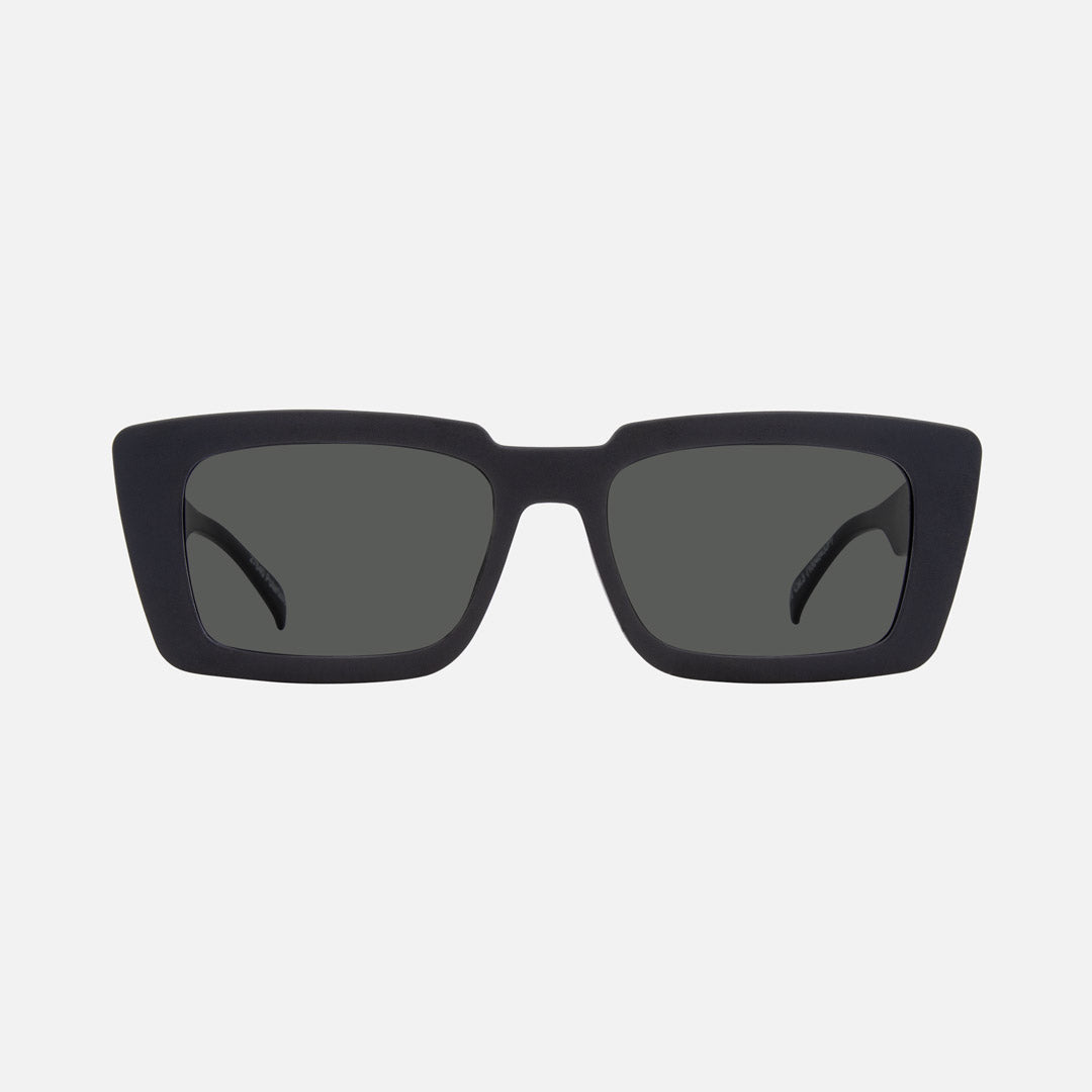 eyewear_Sunglasses~Grey Polarized