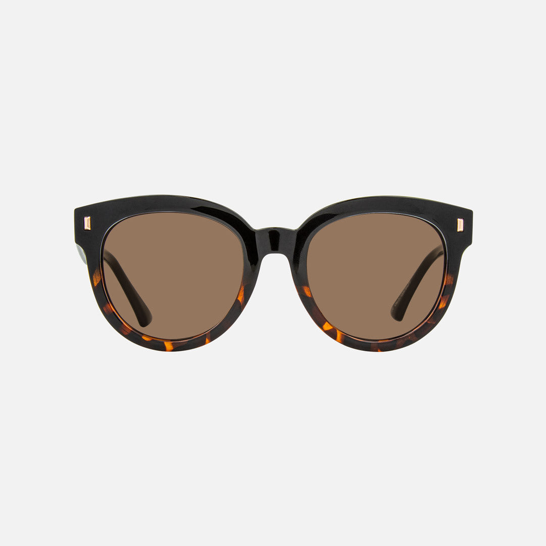 eyewear_Photochromic~Chromatic Brown