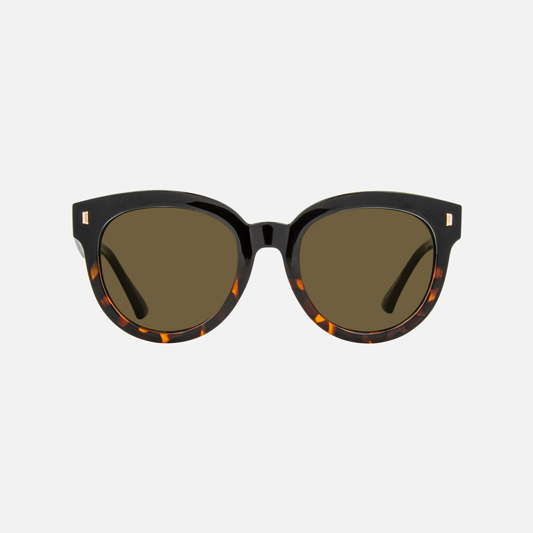 eyewear_Sunglasses~Brown Polarized