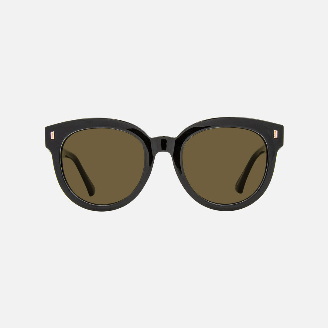 eyewear_Sunglasses~Brown Polarized