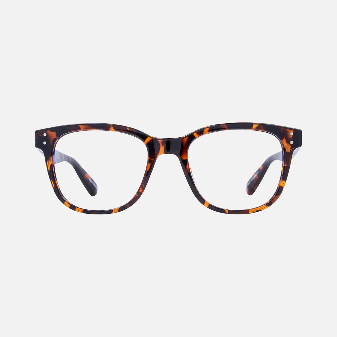 carve HOMELAND RX - Gloss tort