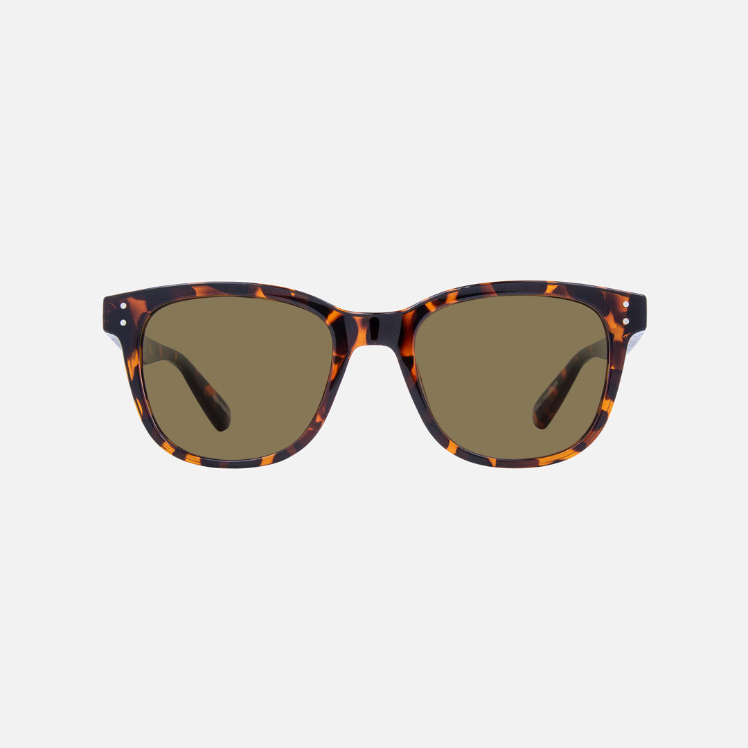 eyewear_Sunglasses~Brown